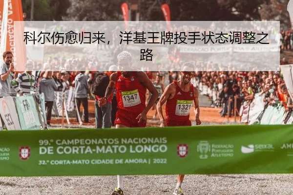 科尔伤愈归来，洋基王牌投手状态调整之路